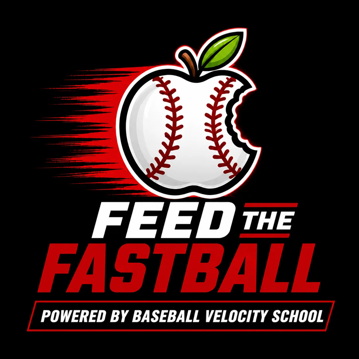 Feed The Fastball — Powered by Baseball Velocity School